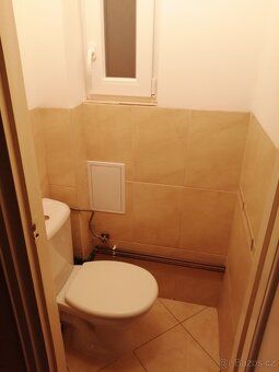 Pronájem 1+1, ulice Zborovská, Žabovřesky, 47 m2, balkon - 6