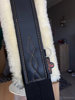 Kentucky podbřišník - 6