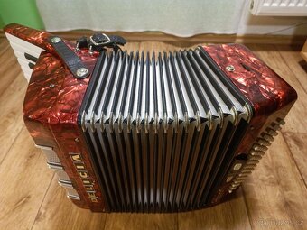 AKORDEON JUNIOR XIII - 6