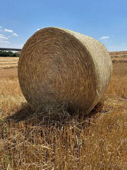 Pšeničná slama guľaté baliky - 6