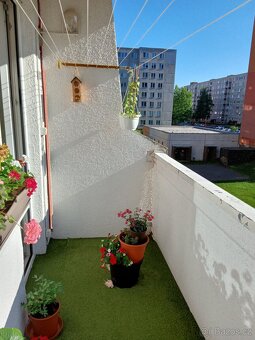 Prodej prostorného bytu 3+1 s balkonem – Havířov – Šumbark, - 6