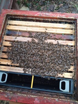 Vyzimované oddělky - 6