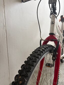 Author Matrix 24” - 6