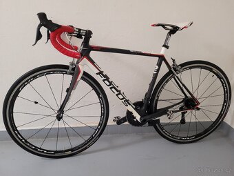 Focus Cayo EVO Ultegra Di2, vel.54 - 6