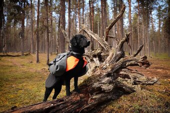 Batoh pro psa AMUNDSEN PACK - Nonstop dogwear - 6
