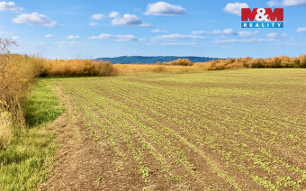 Prodej pole, 9215 m², Dolní Roveň - Komárov - 6