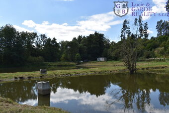 Prodej, pozemek s rybníky, Božetice - 6