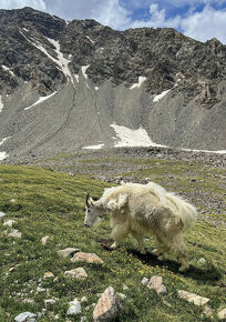 TEREZA KOPECKÁ: SNÍM V DIVOČINĚ (CONTINENTAL DIVIDE TRAIL) - 6