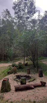 Pozemek TTP 34 200 m2 Nová Ves u Liberce - 6