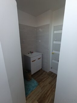Pronájem  podkrovního bytu 1+kk Bystřice - 6