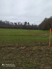 Prodám zem.půdu v Račicích na Vyškovsku - 6