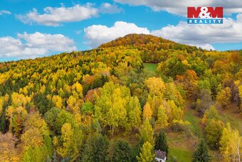 Prodej lesa, 3004 m², Skalice u České Lípy - 6