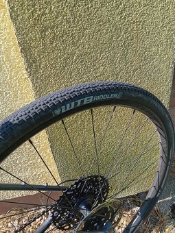 WTB Riddler 700x37 - 6