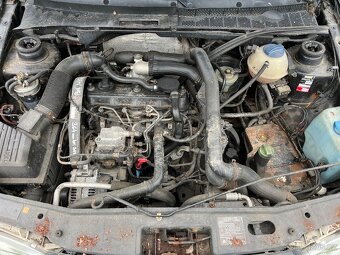 W golf 3 - 6