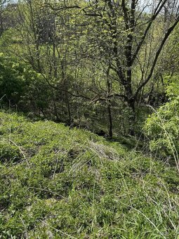 Prodáme pozemky v k.ú. Okrašovice - 6