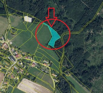 Prodej lesního pozemku v k.ú. Boháňka - 6