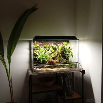 NOVÉ vybavené PALUDÁRIUM s vodopádem - 6