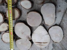 placky a kolečka z různého dřeva k vypalování,malování a pod - 6