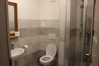 Plně vybavený apartmán v penzionu - 6