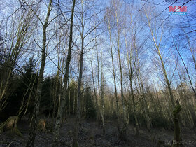 Prodej lesa, 5961 m², Únějovice - 6