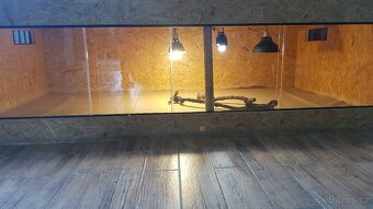 terarium - 6