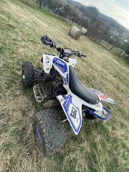 Yamaha raptor 250 - 6