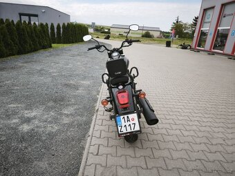 UM Renegade Commando 125, 2021 - 6