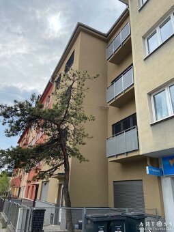 Pronájem bytu 1+kk, 30 m2 - Brno - Černá Pole - 6