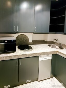 Pronájem bytu 3+1, 73m2, Praha 1 - Malá Strana, Hroznová - 6