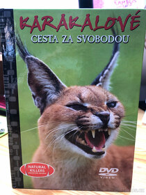 Dokumenty na DVD - Predátoři zblízka č. 1, 3, 7, 8, 12, 24 - 6
