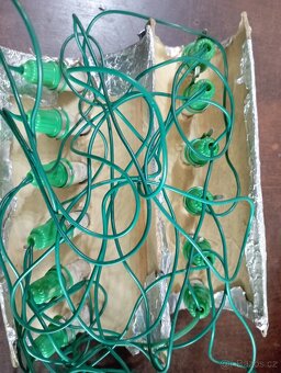 Muchomůrky vánoční - 6