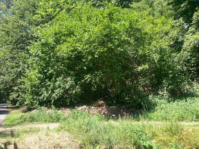 Pozemek v zeleni, pro milovníky přírody a klidu - 6