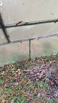 pařenište -skleník - 6