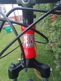 Detske kolo 24 PELLS Razzer - 6