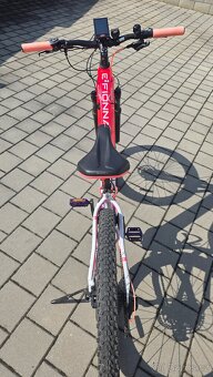 Crussis E-Fionna 9.6 - 6