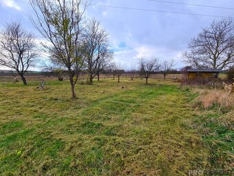 Prodej zahrad 500m2, rovina, sad - 6