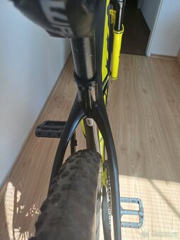 Carbon 29 - 6