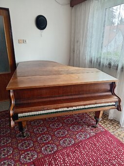 Prodám křídlo R. 1880 - 6