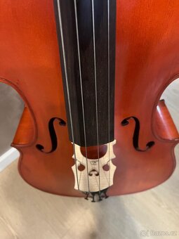 Violončelo 4/4 - 6