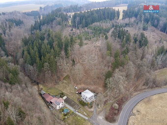 Prodej lesa, 2745 m², Ústí nad Orlicí - 6