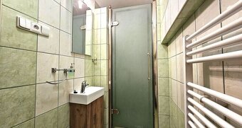Pronájem, 1+kk, 32 m2, Velká Bukovina - 6