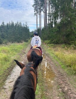 PODZIM U KONÍ 🍂 - 6