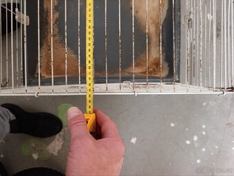 Klec kotec 94x 57x 45 ( dxšxv) pro králíka - 6