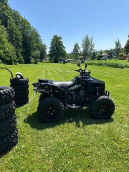 Can am renegade 1000 xxc - 6