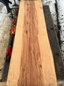 Bukové fošny XXL - 6