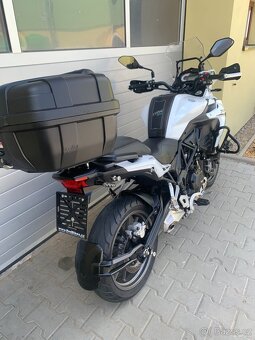 Benelli TRK 502 X - 6