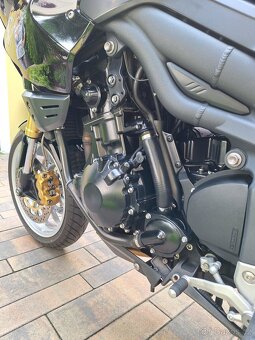 Triumph Tiger 1050 - 6