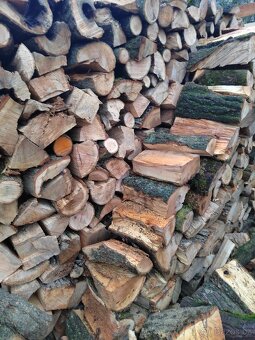 Tvrdé palivové dřevo polena. - 6