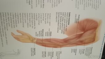 Rodinná encyklopedie MEDICINY & ZDRAVÍ - 6