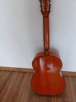 Španělská kytara - 6